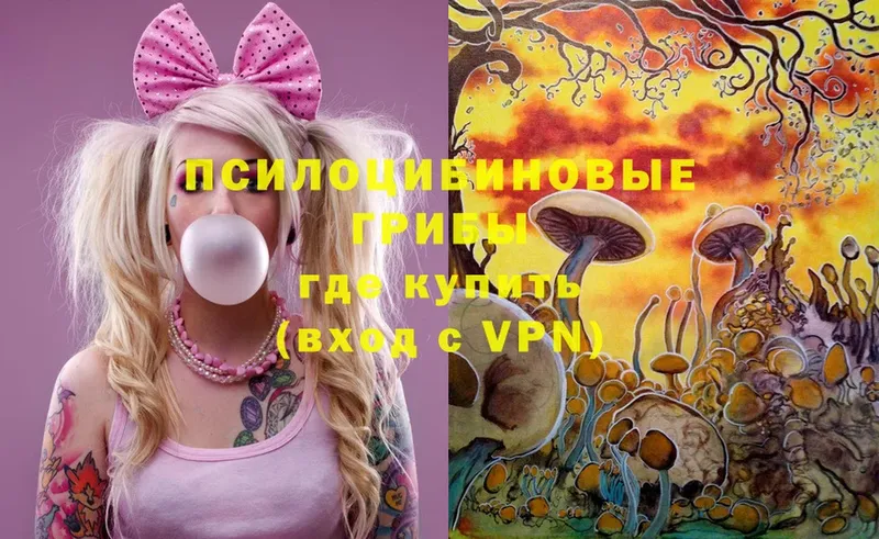 Галлюциногенные грибы Magic Shrooms  Тюкалинск 